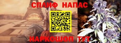 шишки Славгород