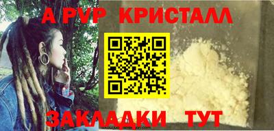 шишки Славгород