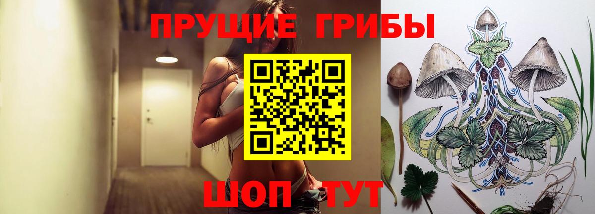 Псилоцибиновые грибы GOLDEN TEACHER Белово
