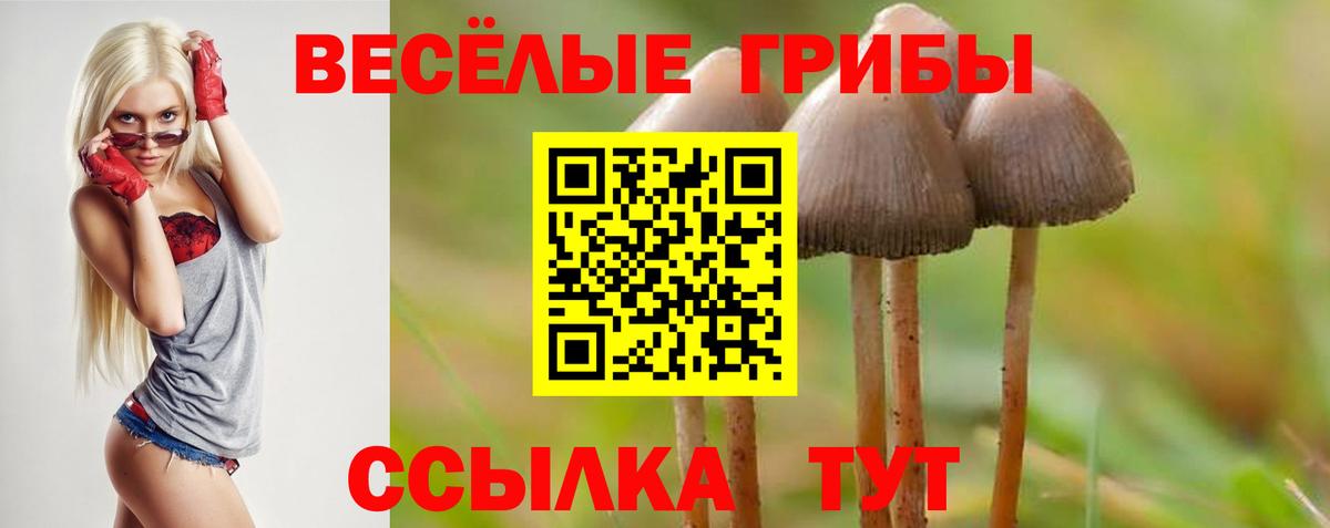 Галлюциногенные грибы GOLDEN TEACHER  Галлюциногенные грибы мухоморы  Белово  Вход с VPN 